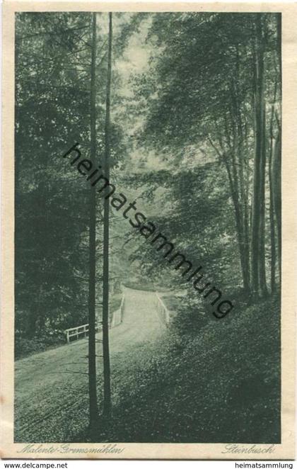 Malente-Gremsmühlen - Steinbusch - Verlag Julius Simonsen Oldenburg