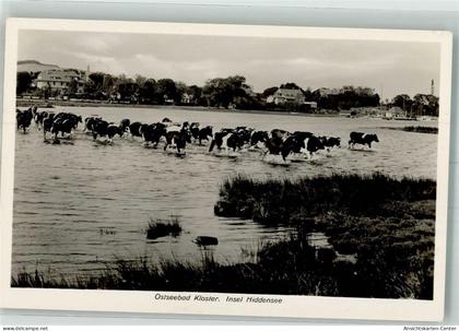 39938529 - Kloster , Hiddensee