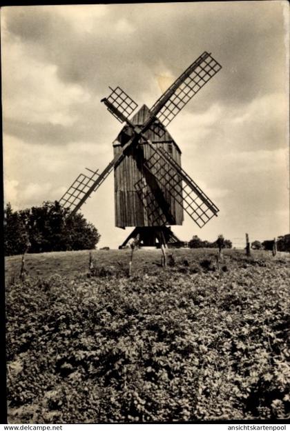 CPA Eldena Hansestadt Greifswald, Windmühle