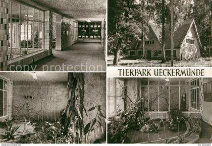 Ueckermuende Mecklenburg Vorpommern Tierpark Vivarium