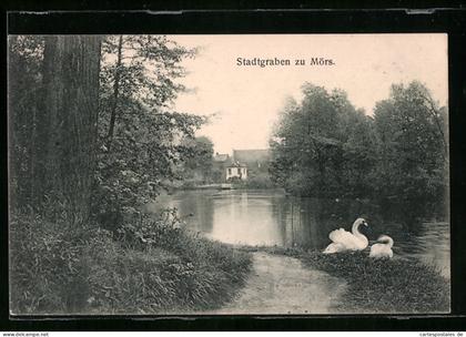AK Mörs, Schwanenpartie am Stadtgraben
