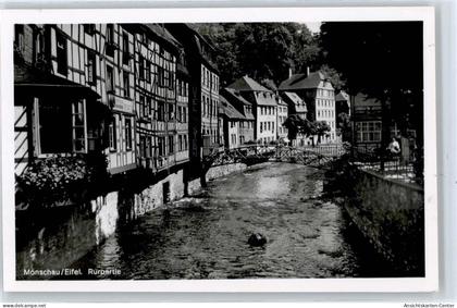 50819618 - Monschau
