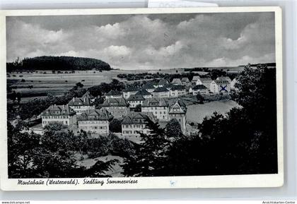 50819209 - Montabaur