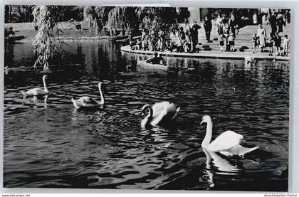 50347491 - Muenster , Westf