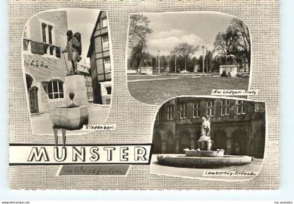 Muenster Westfalen Muenster