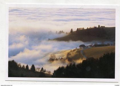 AK 066895 GERMANY - Oberes Münstertal im Schwarzwald