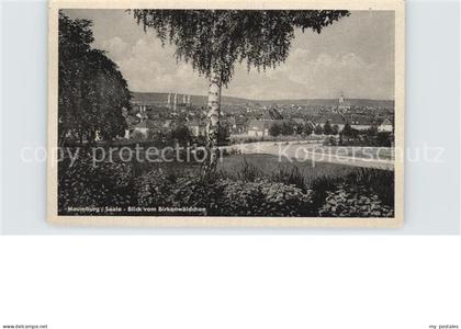 Naumburg Saale Birkenwaeldchen