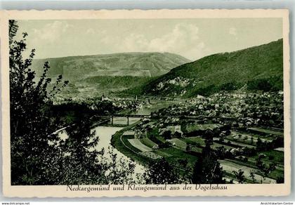 10485054 - Neckargemuend