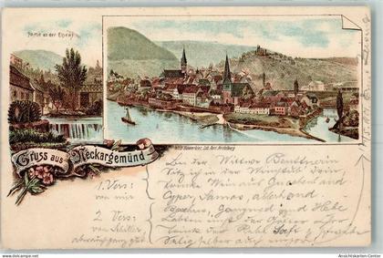 13238290 - Neckargemuend