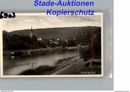 50275290 - Neckargemuend