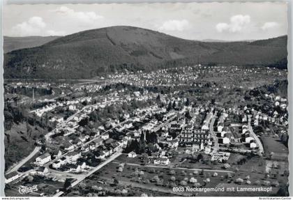 50436380 - Neckargemuend