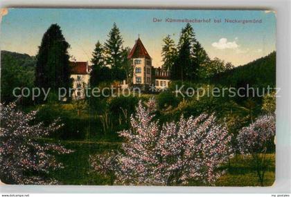Neckargemuend Kuemmelbacherhof