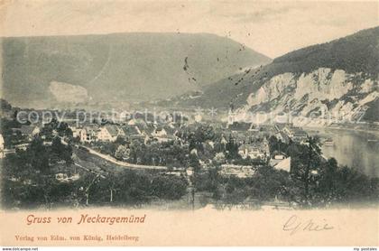 Neckargemuend Panorama