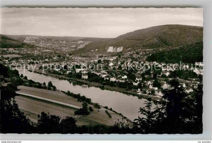 Neckargemuend Panorama