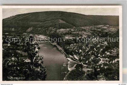 Neckargemuend Panorama