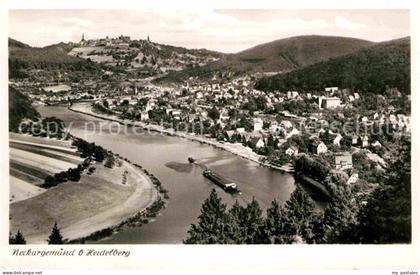 Neckargemuend Panorama