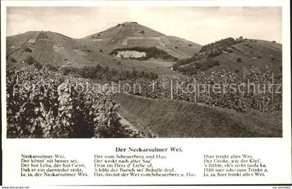 Neckarsulm Weinreben mit Scheuerberg