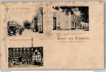 13659866 - Bramsche , Hase