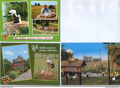 20034217 - Verden