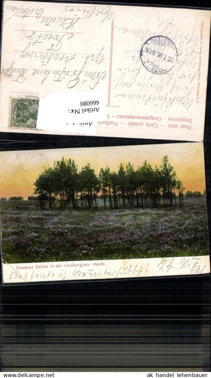 666080,Lüneburger Heide Gehölz in der Heide