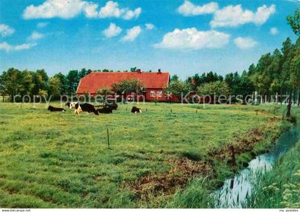 Friesland Emden Landhaus