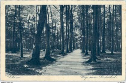 Uelzen Lueneburger Heide Uelzen