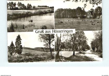 Uelzen Lueneburger Heide Uelzen Hoesseringen