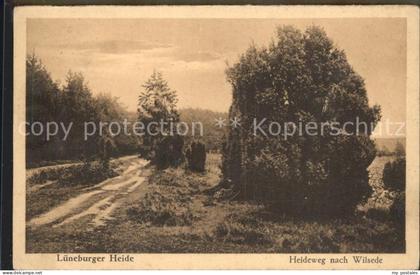 Wilsede Lueneburger Heide Heideweg Lueneburger Heide