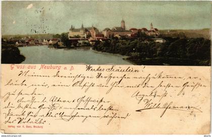 CPA AK Neuburg a.D. Gruss aus Neuburg a.D. GERMANY (875553)