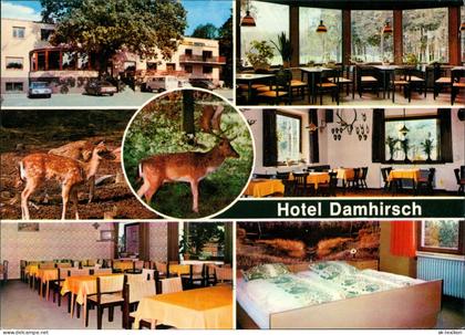 Neustadt am Rübenberge Hotel Damhirsch Restaurant Bes. Kempf, Innen & Außen 1970
