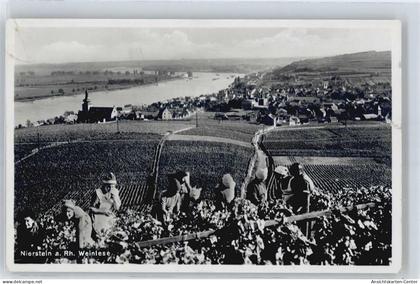 50550062 - Nierstein