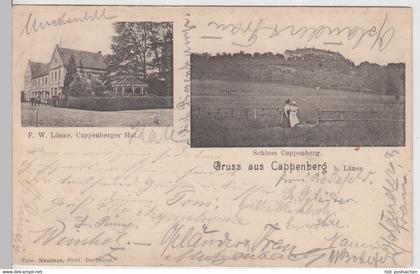 (112927) AK Gruss aus Cappenberg b. Lünen, Cappenberger Hof u. Schloss 1901