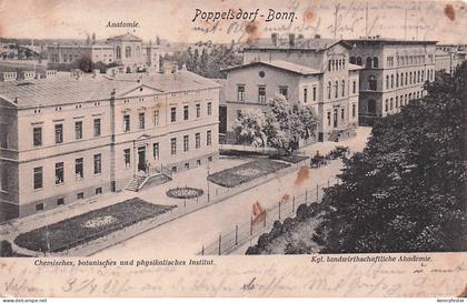 Bonn Rhein Bonn Poppelsdorf x / Bonn /Bonn Stadtkreis