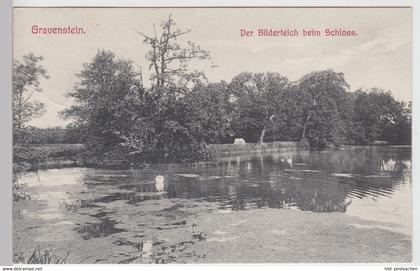 (111772) AK Gravenstein, Gråsten, Bilderteich beim Schloss 1909