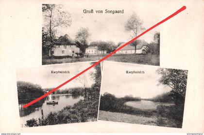AK Soegaard Søgård Seehof Seegaard Karpfenteich Gasthof ? a Klipleff Sommerstedt Tondern Nordschleswig Danmark Dänemark