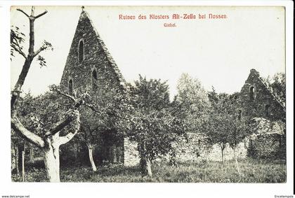 CPA - Carte Postale -Allemagne - Nossen - Ruinen des Klosters Alt Zella bei Nossen - S794