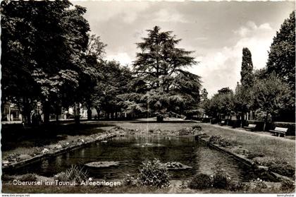 Oberursel - Alleeanlagen