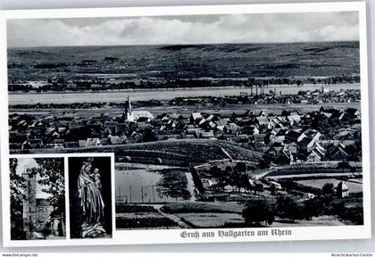 51435100 - Hallgarten , Rheingau