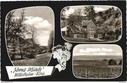 Mittelheim Rheingau - Korus Mühle