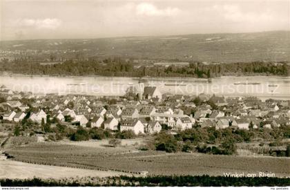 Winkel Oestrich-Winkel Panorama am Rhein