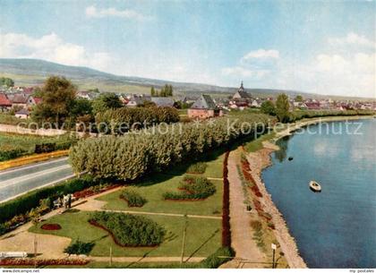 Winkel Oestrich-Winkel Panorama Rheinanlagen