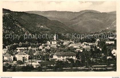 Oppenau Gesamtansicht