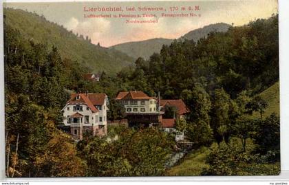 Oppenau Lierbachtal