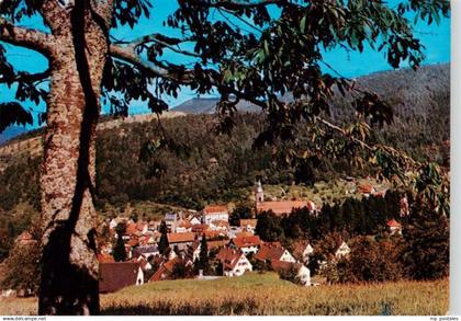 Oppenau Panorama
