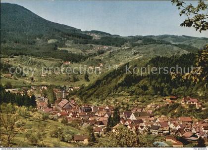 Oppenau Panorama