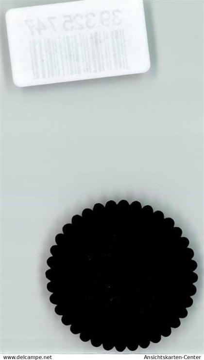 39325747 - Oschatz