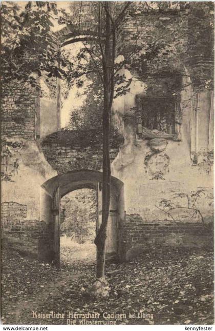 Ostpreussen - Cadinen - Klosterruine