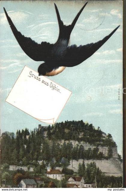 Oybin Sachsen Berg Oybin Briefschwalbe