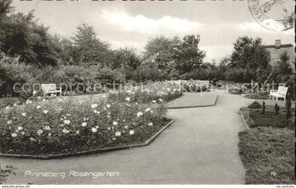 Pinneberg Rosengarten