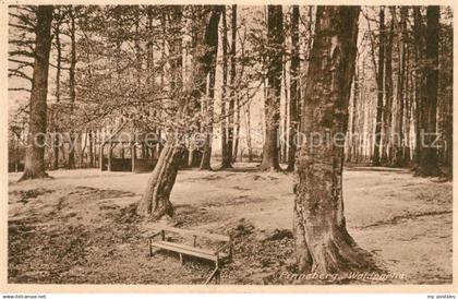 Pinneberg Waldpartie
